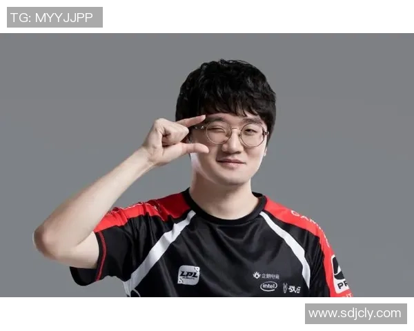 深入解析EDG战队的团队配合与数据表现分析