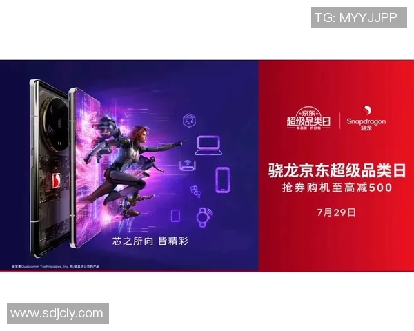 王者荣耀深度解析：JDG战队团队协作的成功秘诀与实战策略